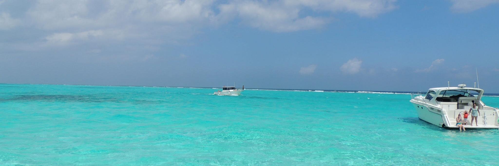 James Simmonds banner