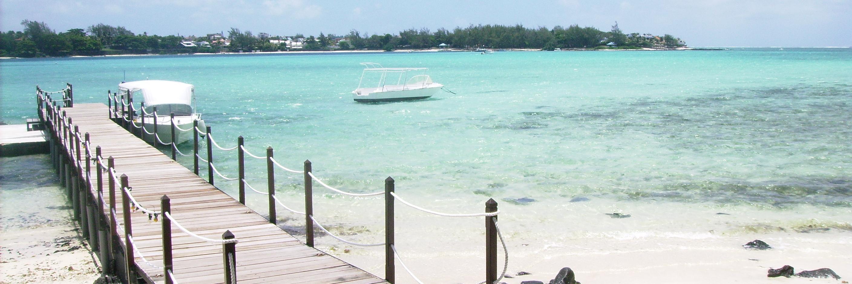 angie pickering banner