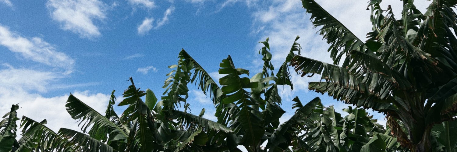 afrilual's profile banner image