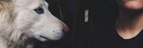 carlosabl's profile banner image