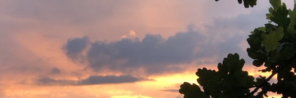 MaryPorch Profile Banner