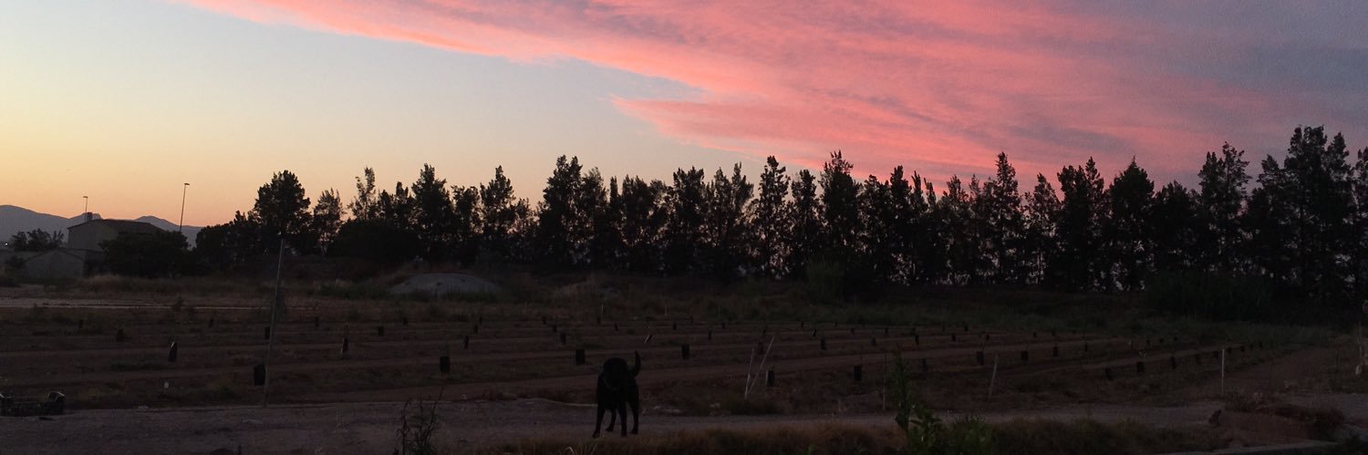 joana2297's profile banner image