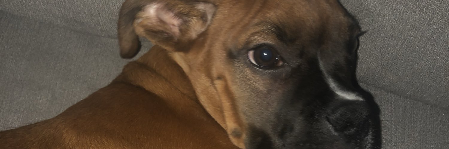 Kchess21's profile banner image