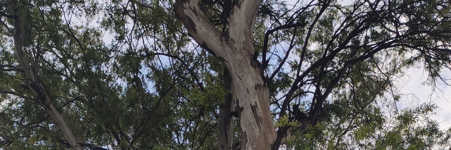 heycuate's profile banner image