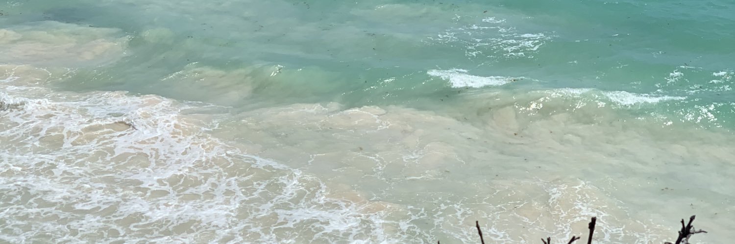 ErickLeonelHP's profile banner image
