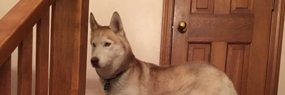 Litchfield NH IND banner