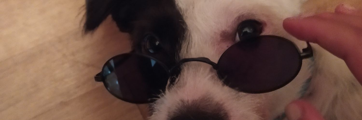 nereavbr's profile banner image