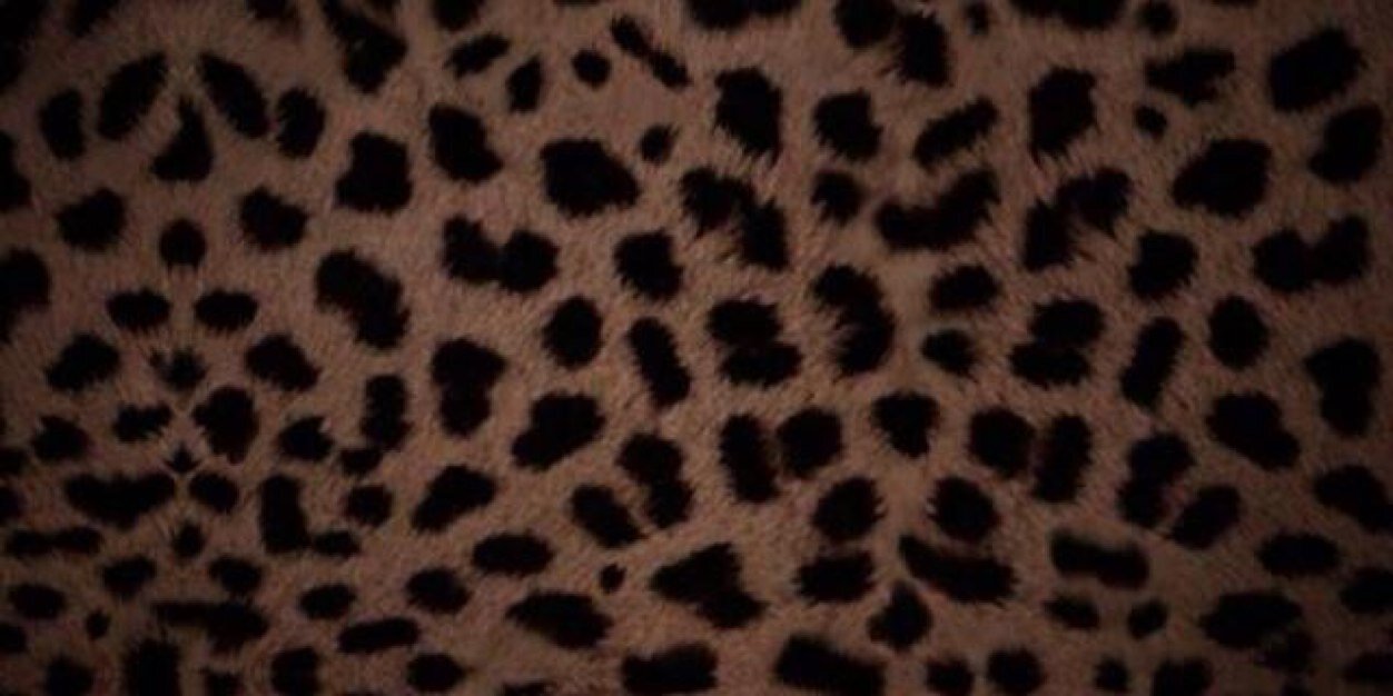 Tbrad1970's profile banner image