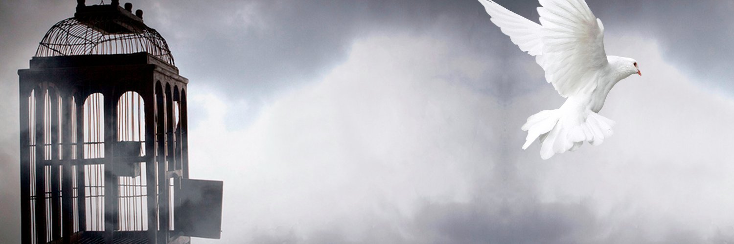 hipnosisCo's profile banner image