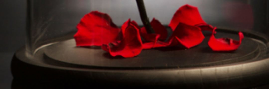 awja3u's profile banner image