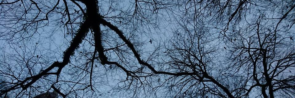 FalastinyMusing's profile banner image