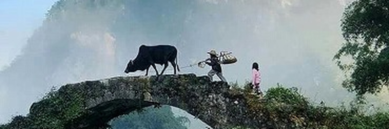 patchoke's profile banner image