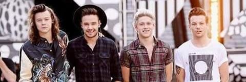 luisgerardo1D's profile banner image