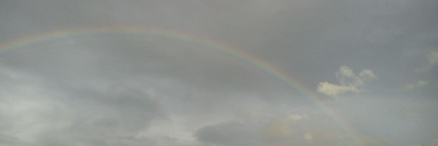 LisaVelasquez8's profile banner image