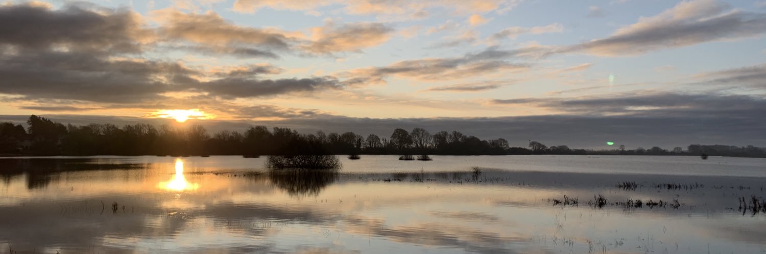 Gary Marshall banner