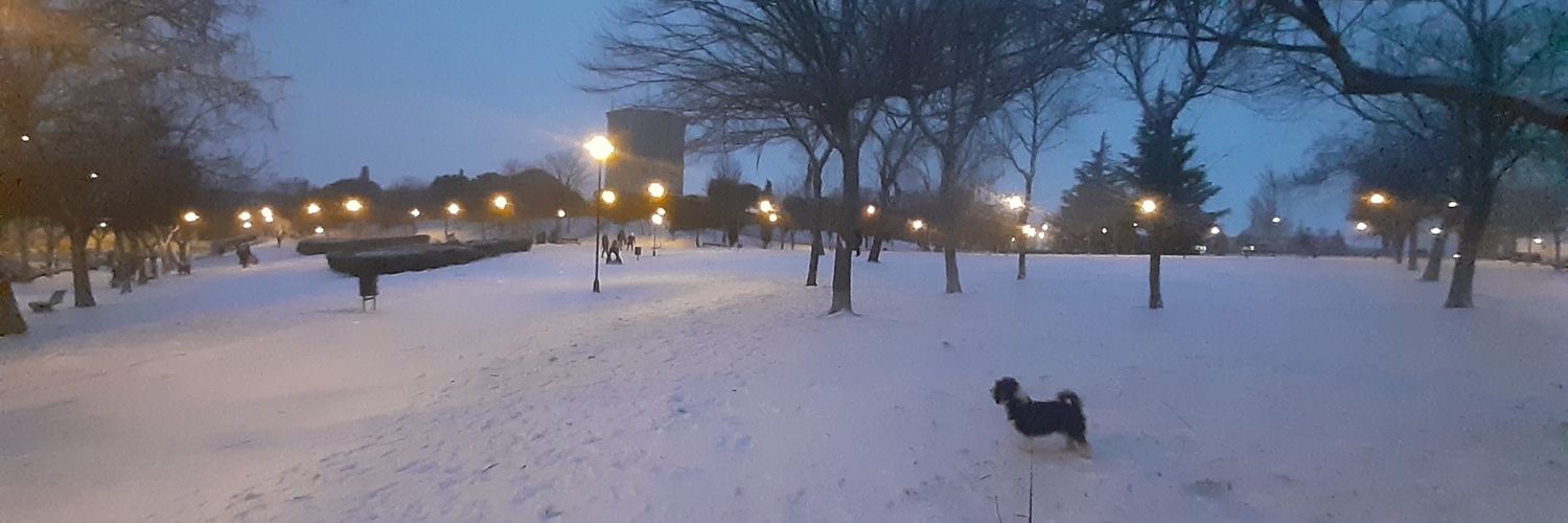 baconti's profile banner image