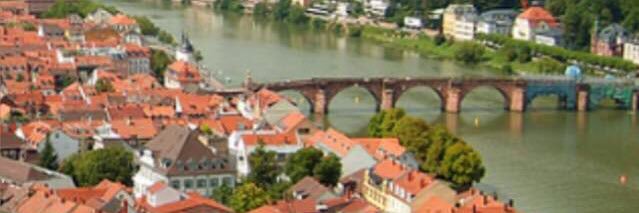 حمد مهدي آل دويس banner