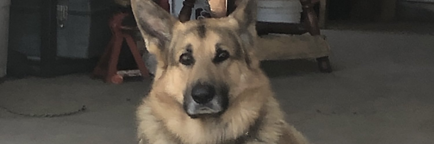BogeyRo's profile banner image