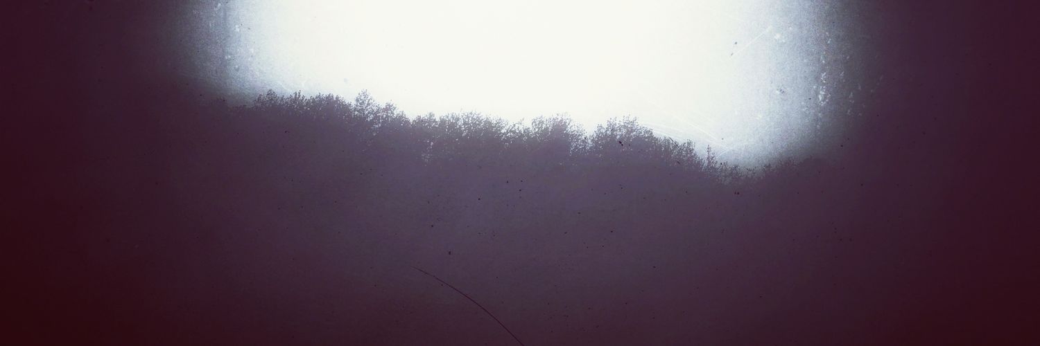 dimche_l's profile banner image