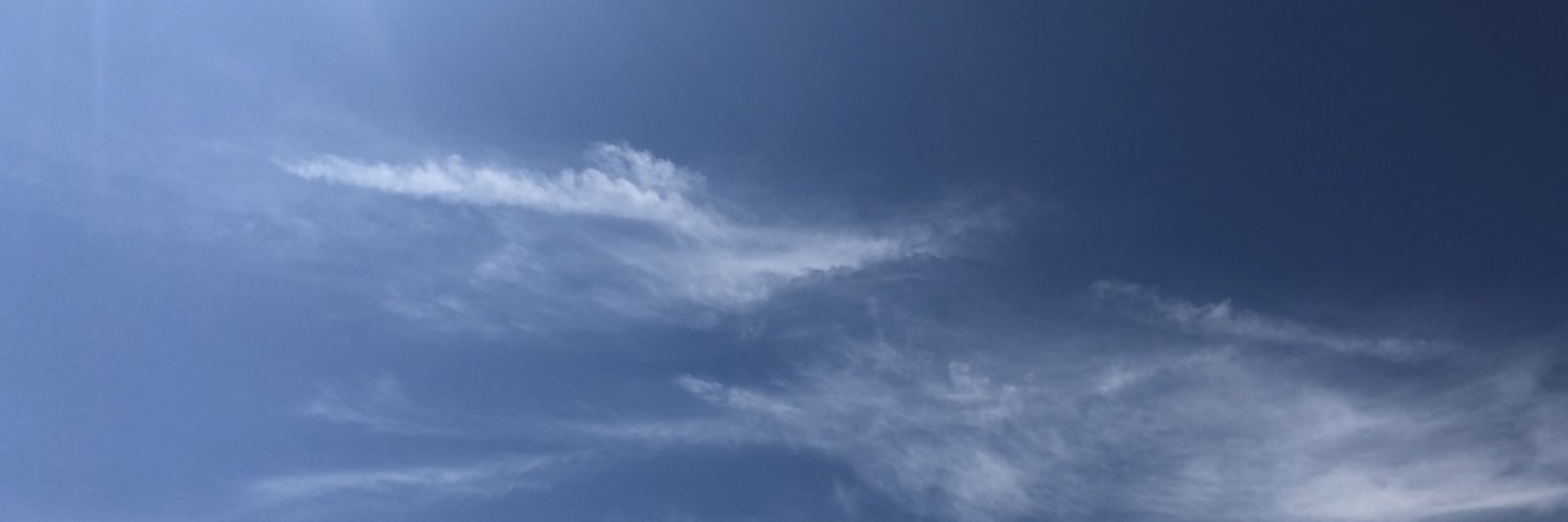 QtaroQtarro's profile banner image