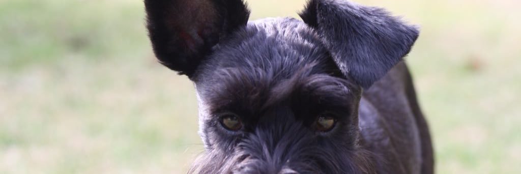 MariaKV7's profile banner image