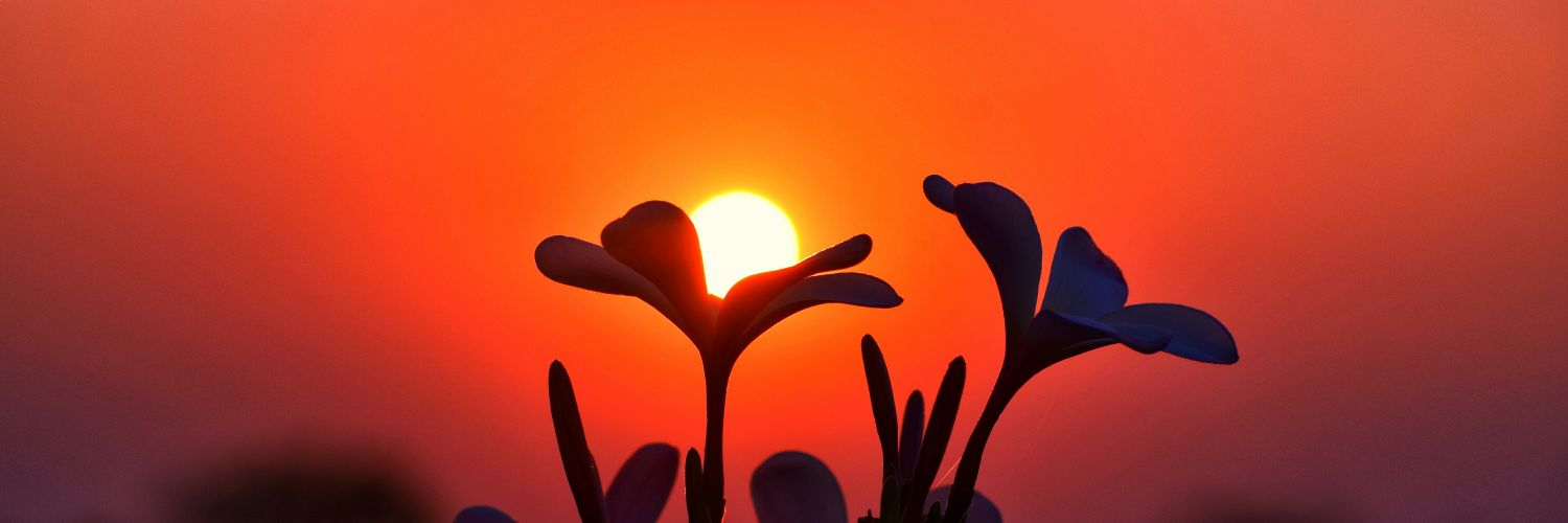 M Azharuddin Shaikh banner