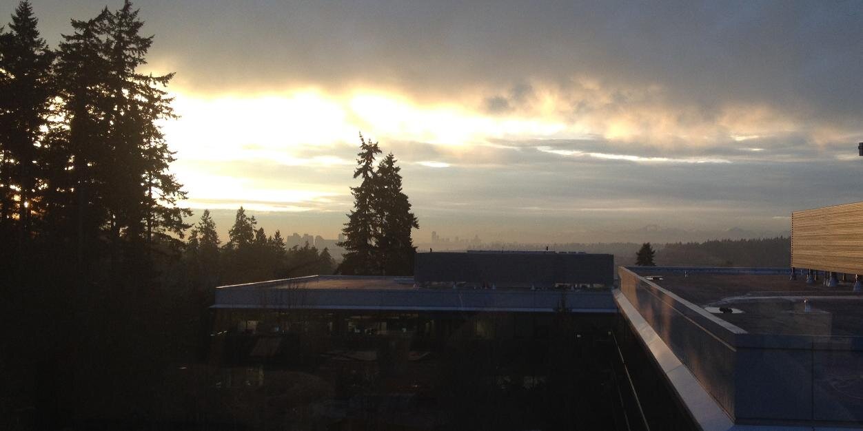 Anatoli Macarov banner