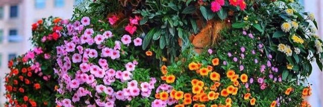 fullah24's profile banner image