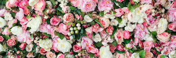 DervsMadden Profile Banner