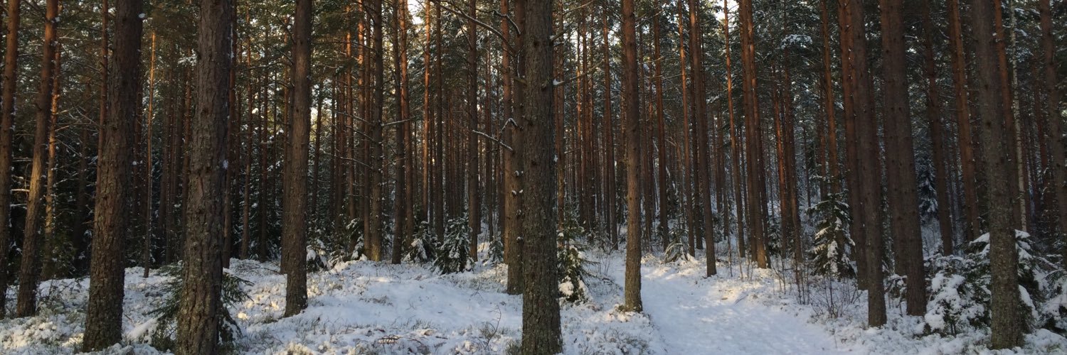 KingIngwall's profile banner image
