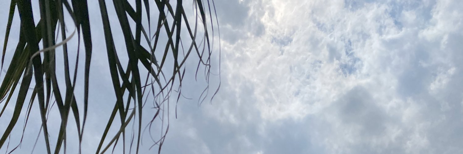 en_enchan's profile banner image