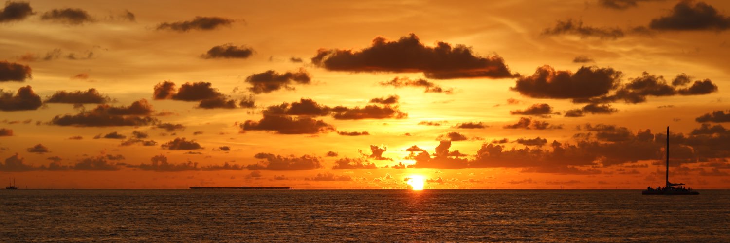dylansewsankar's profile banner image