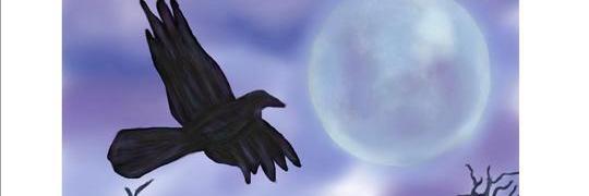 ravenstar4's profile banner image
