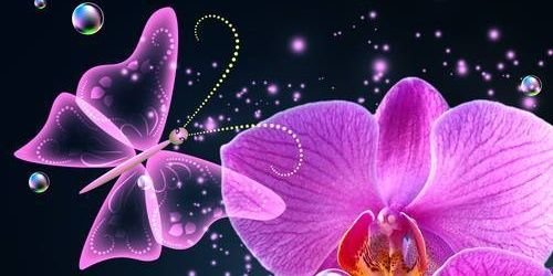 Enilahc88's profile banner image