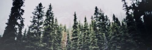 ChelbieJo's profile banner image