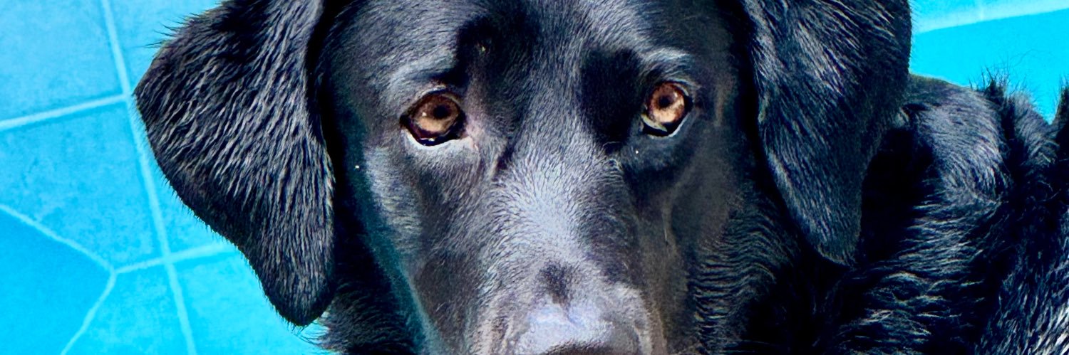 kkroldsch's profile banner image