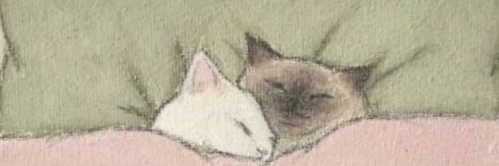 megmcgriddle's profile banner image