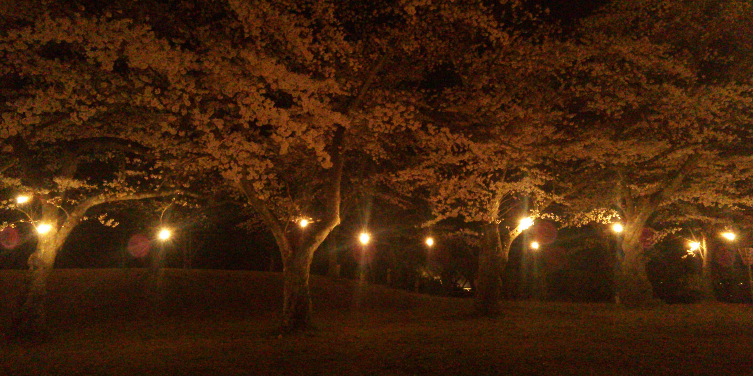 anthony9856's profile banner image