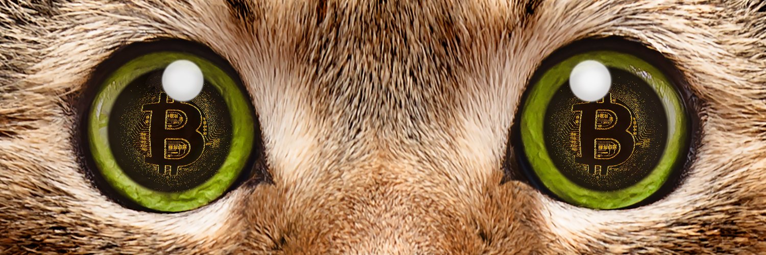 monkeykang's profile banner image