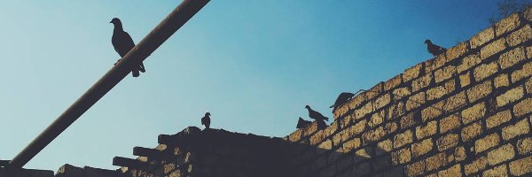 EslamGamal404's profile banner image