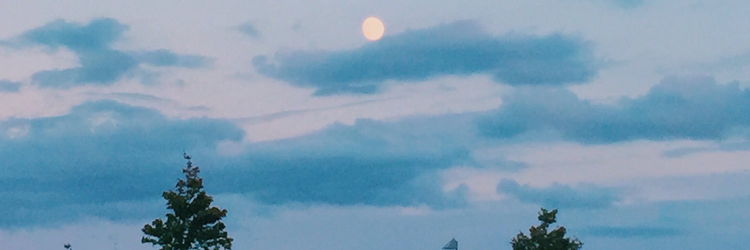 reveegrace's profile banner image