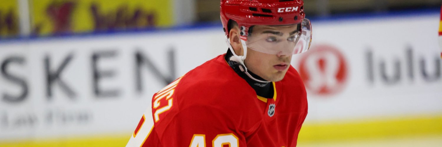 Brzustewicz Bread Bandit banner