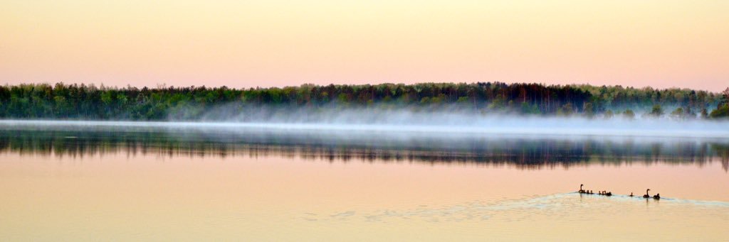 CNicklay5's profile banner image