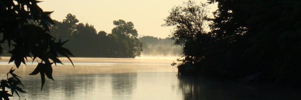 mizzbee703 Profile Banner