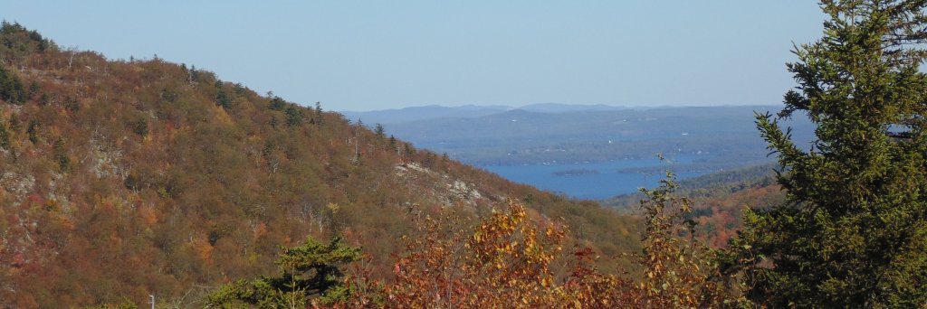 Hunter Taylor banner
