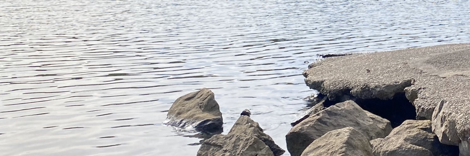 trionabmurphy's profile banner image