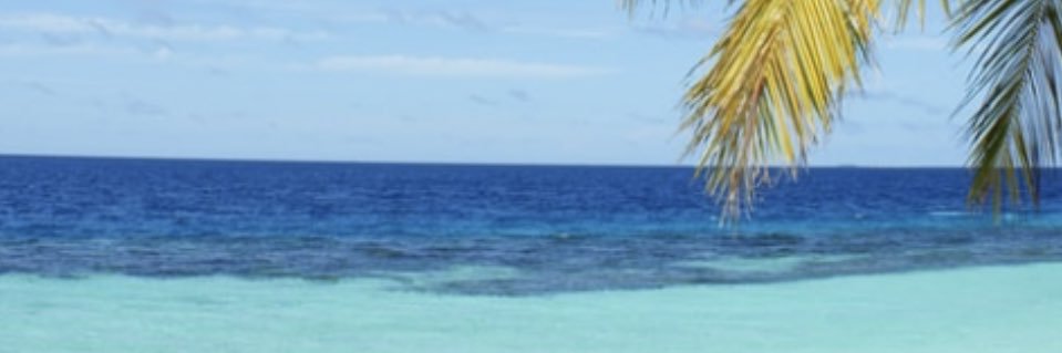 smsphd's profile banner image