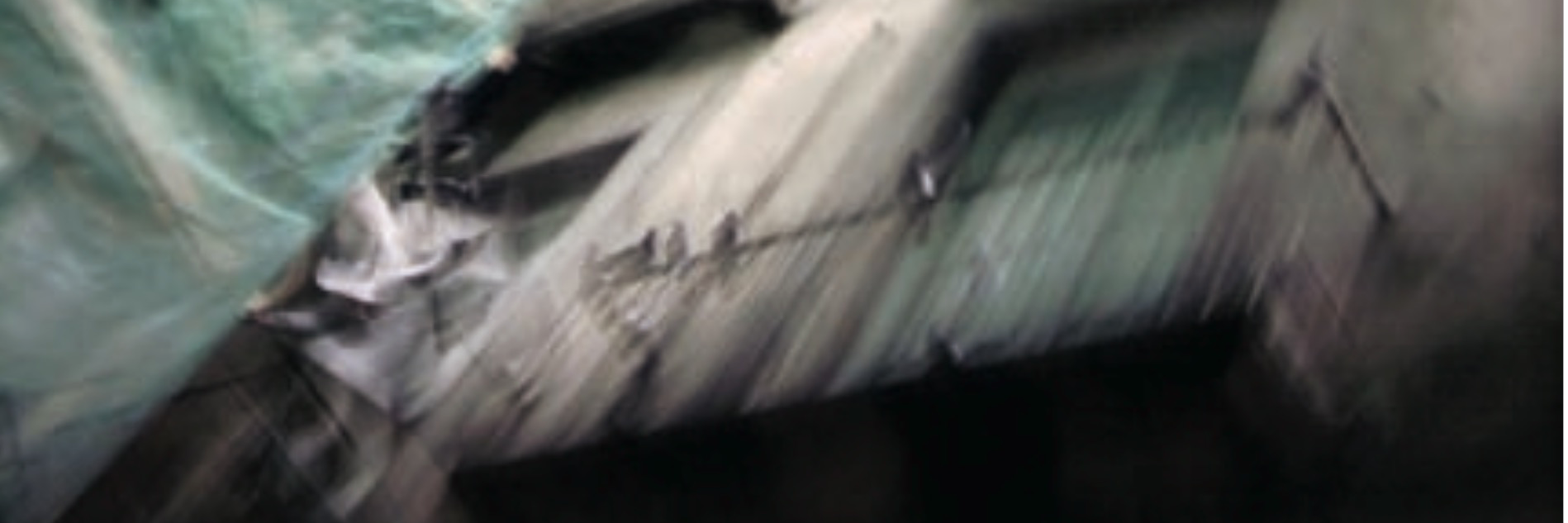 misnoma's profile banner image