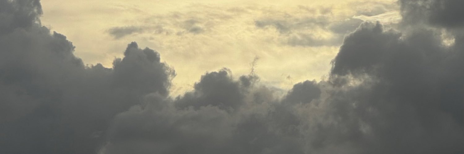 pmaschwitz's profile banner image