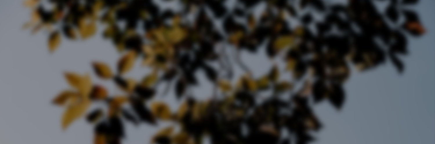 __caseymichelle's profile banner image